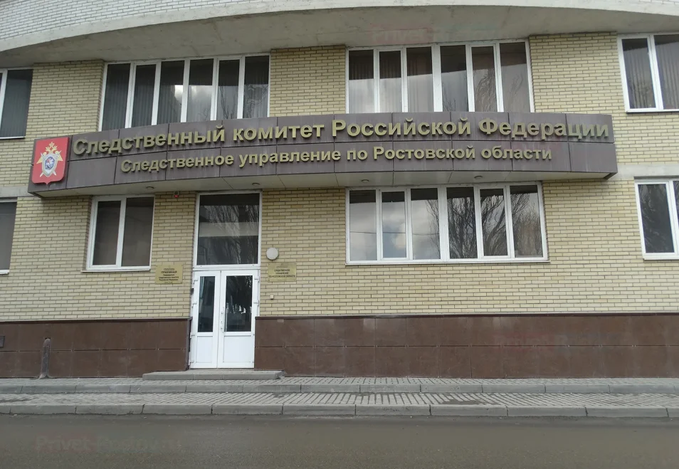 В Ростове 12-летняя девочка стала матерью, к проверке подключились силовики