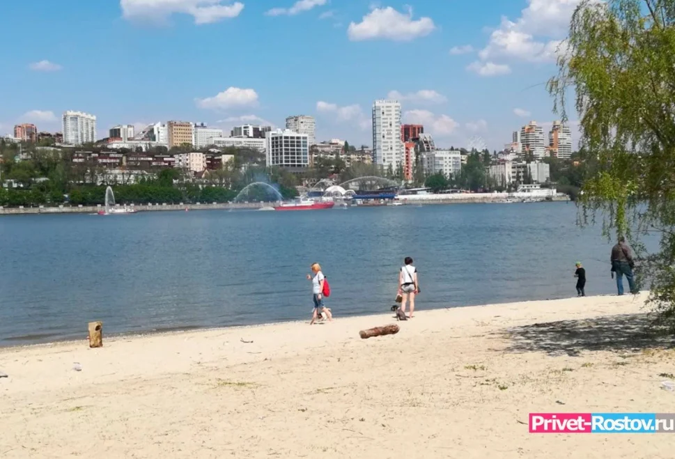 Четыре из них дети: за лето в Ростовской области утонули 33 человека
