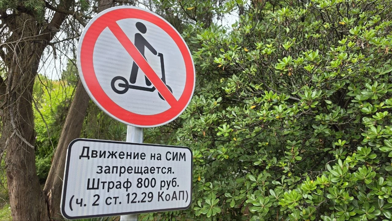 В Ростове могут ужесточить правила аренды электросамокатов