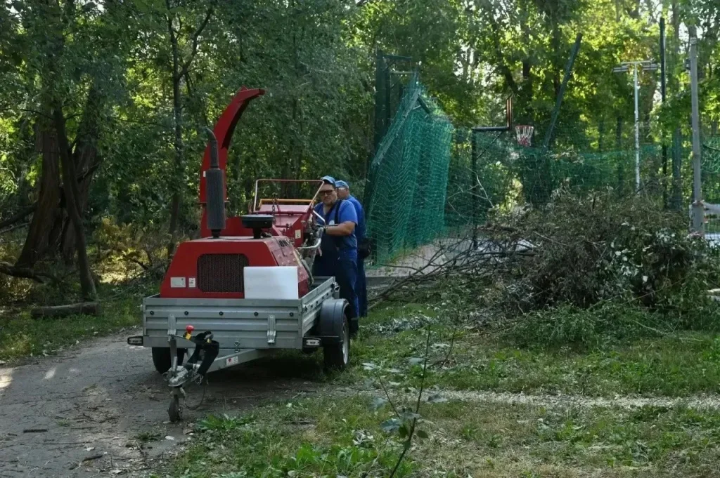 Александр Скрябин поручил городским службам ускорить уборку последствий урагана