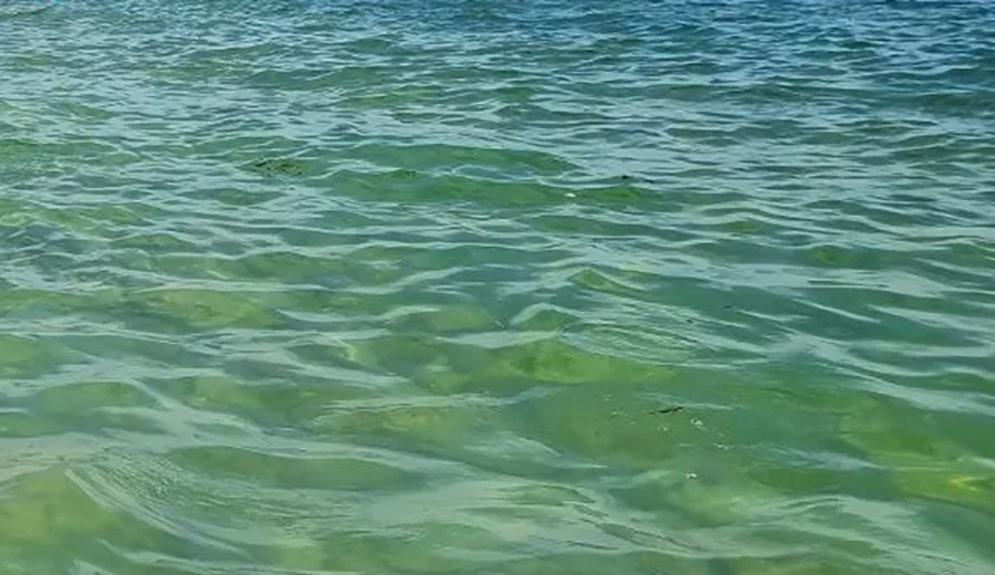 Воду отключат на одни сутки в части Ростова из-за ремонта