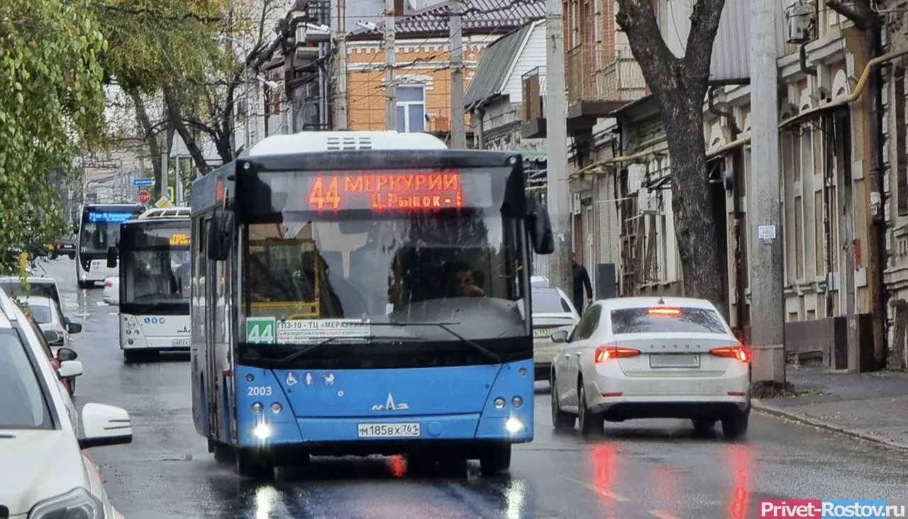 В Батайске водитель Lada Granta прыснул перцовкой в автобусного коллегу