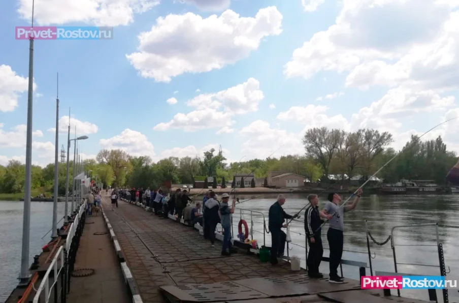 Рыбу пришельца выловил рыбак из Ростова в местном канале