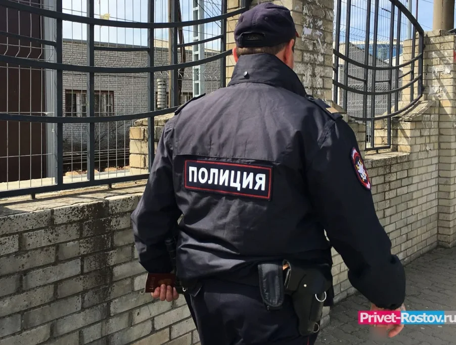 Пьяная ростовчанка избила полицейского и получила условный срок