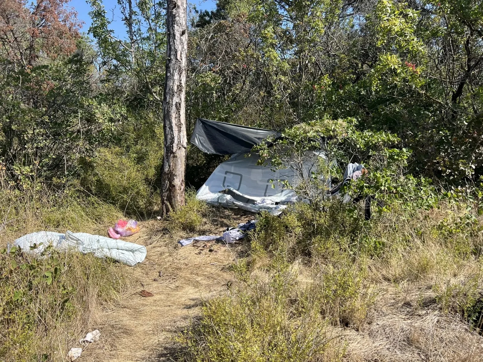 Приезжий из Сочи убил топором севастопольца в лесополосе
