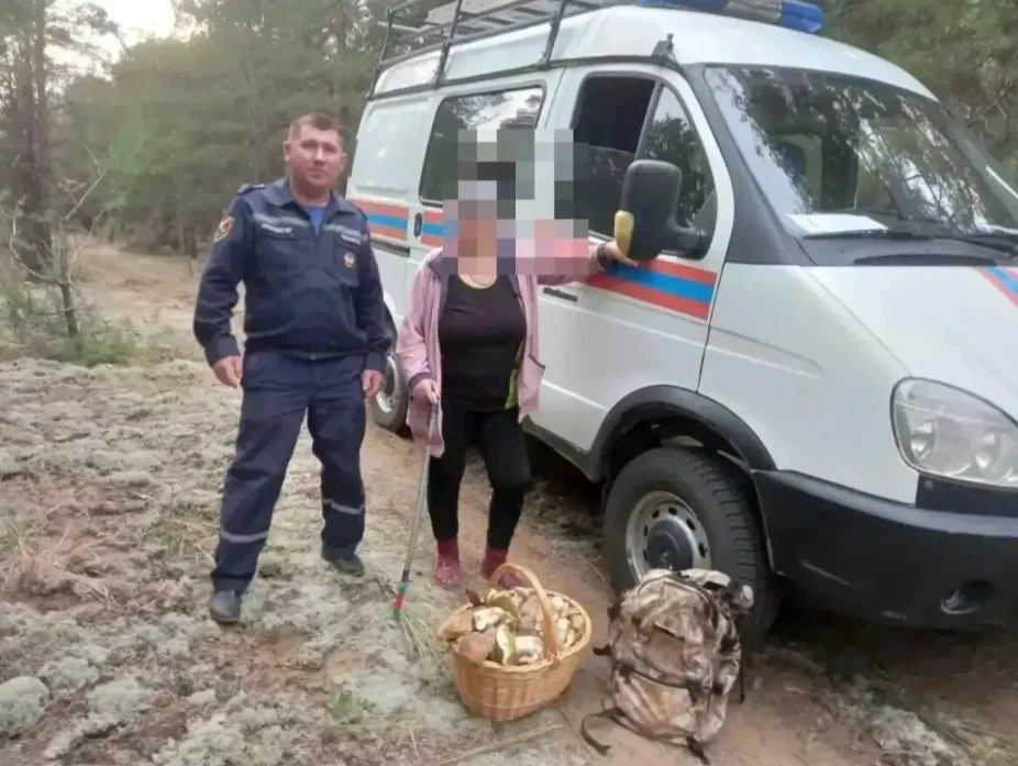 В Шолоховском районе Дона женщина ушла за грибами и потерялась