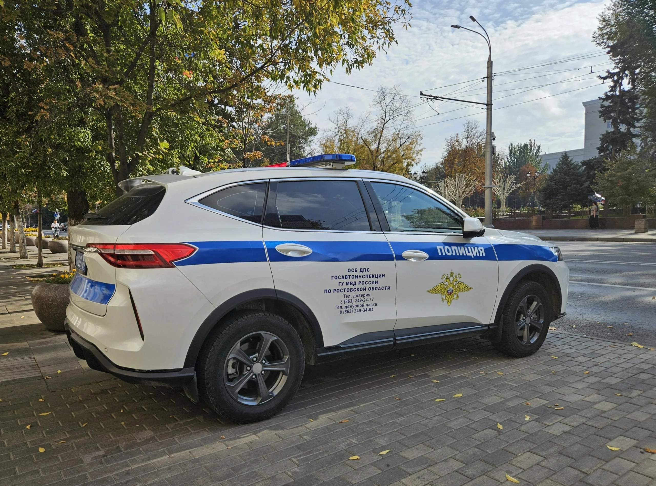 Донская полиция ищет мужчину стрелявшего по бездомным собакам