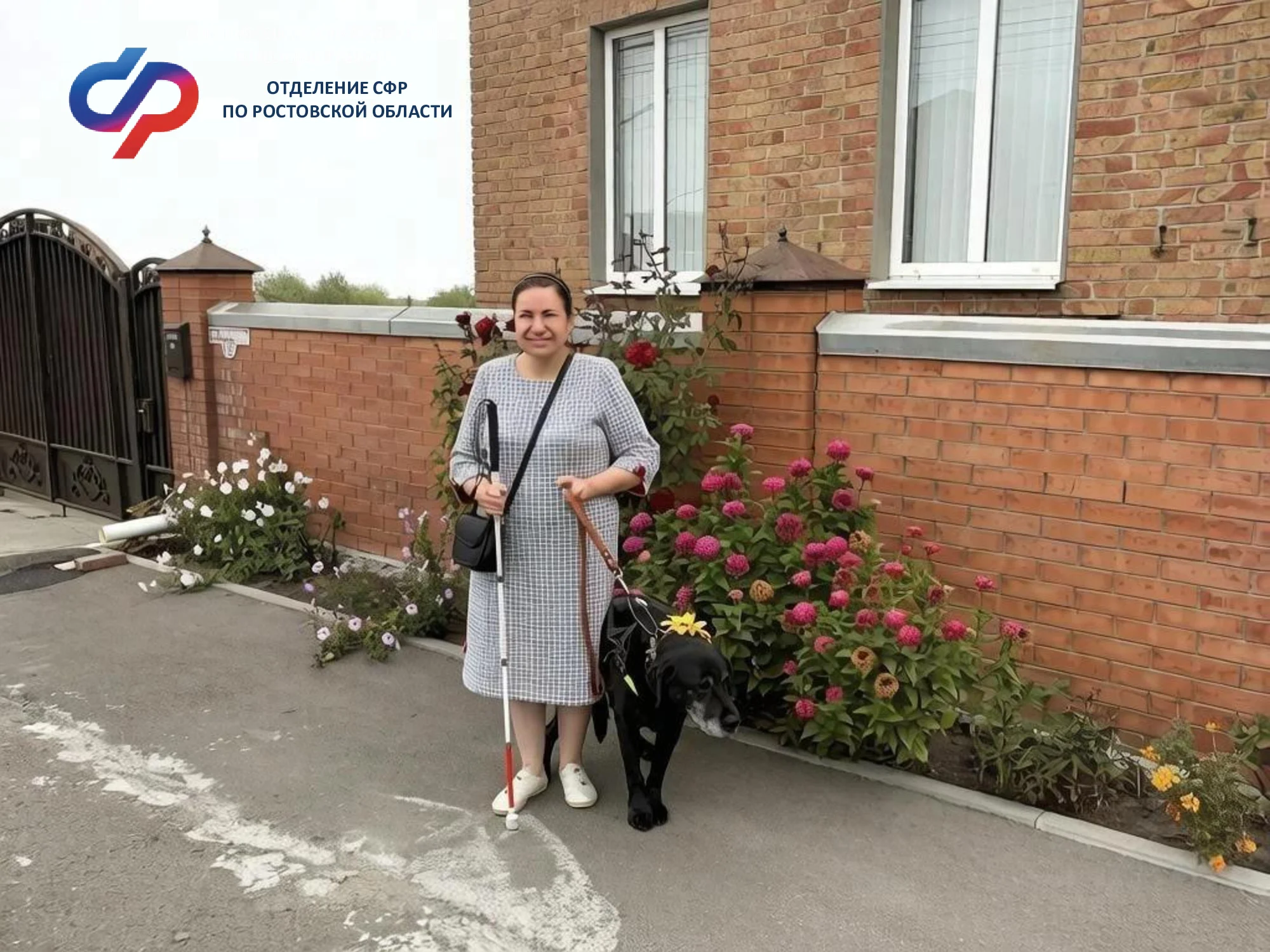 Дончане могут оформить электронные сертификаты на корм для собак-поводырей