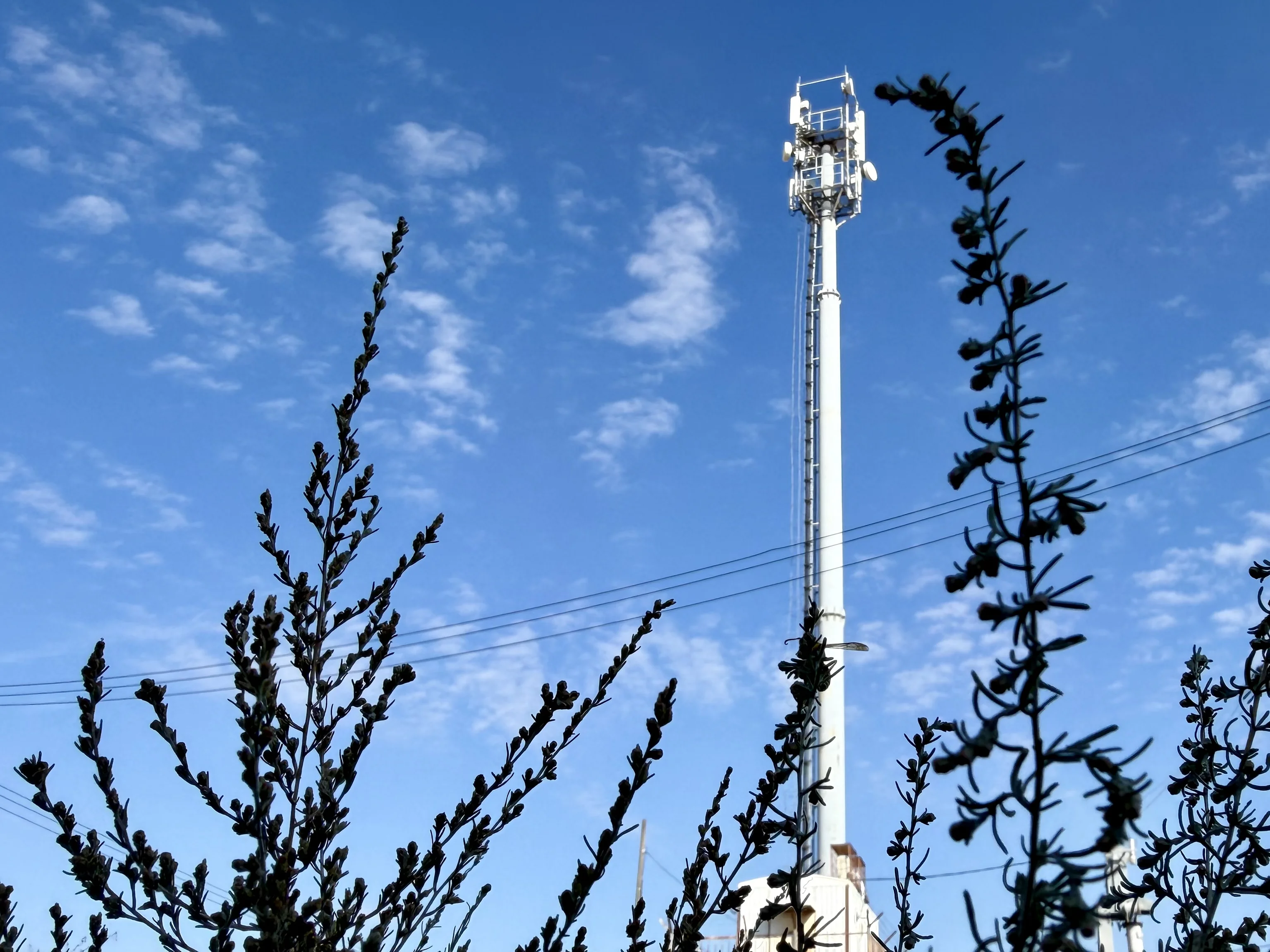 МТС первой открыла доступ к сети 5G в Ростове-на-Дону